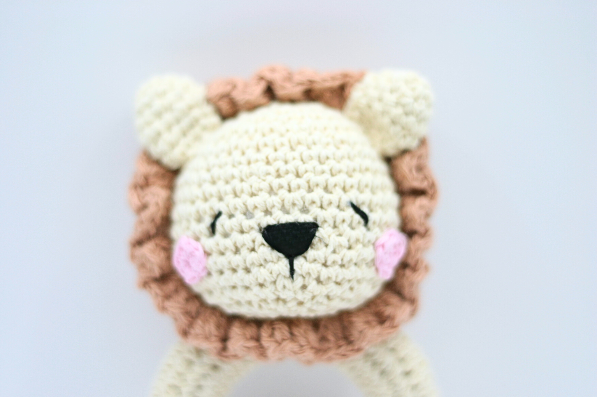 Lion of Judah Rattle