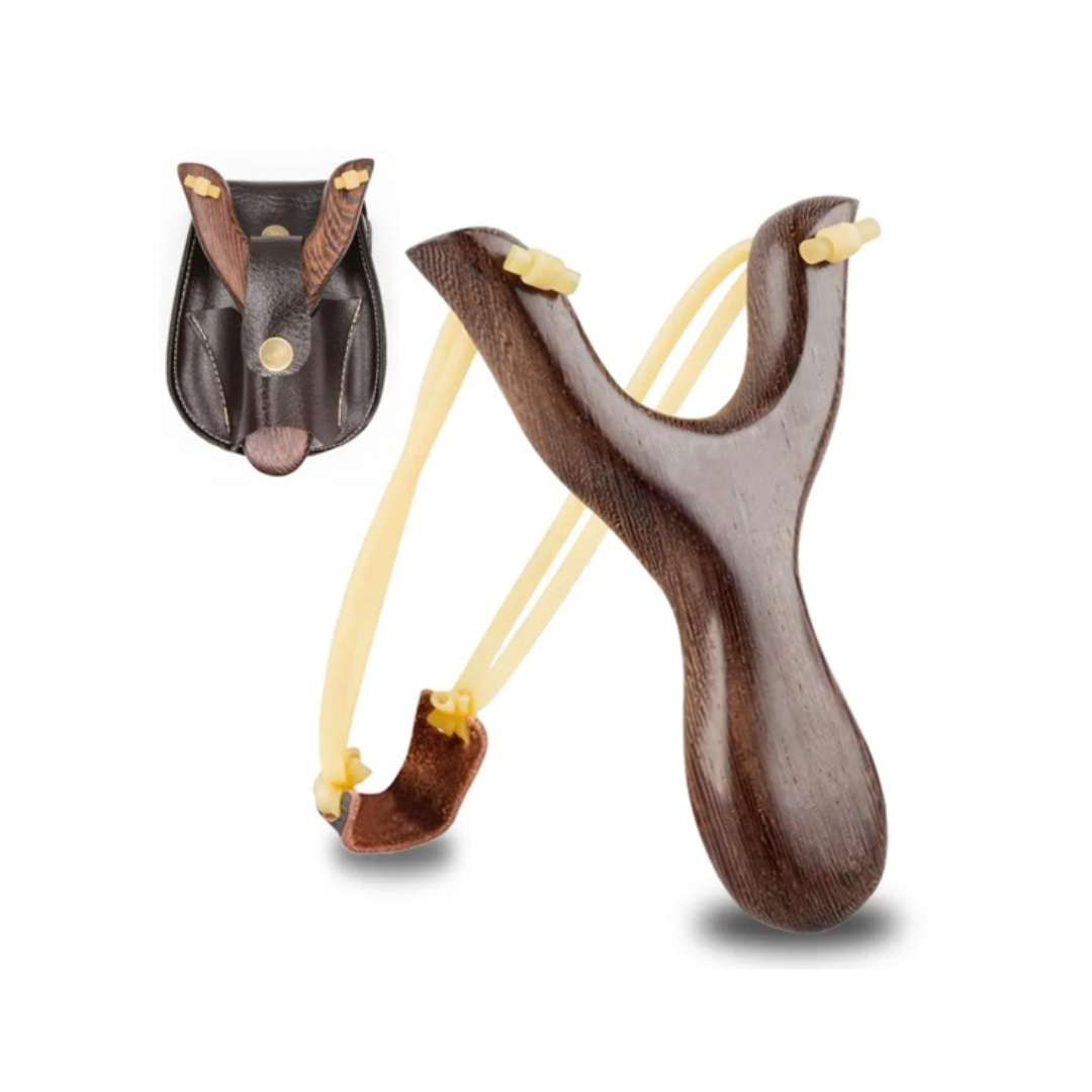 David's Slingshot