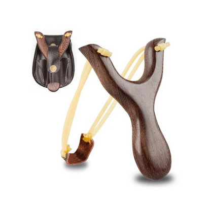 David's Slingshot